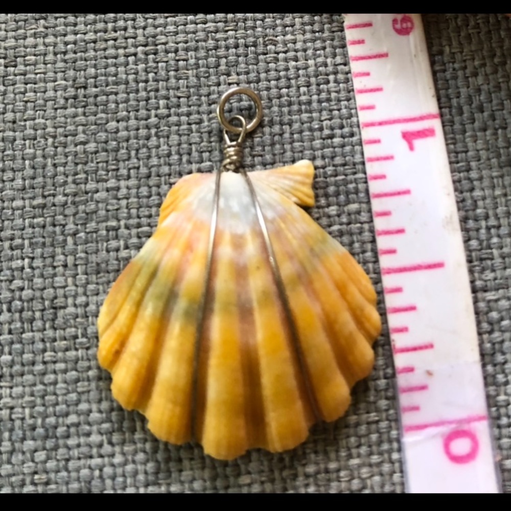 Hawaiian Sunrise Shell Pendant